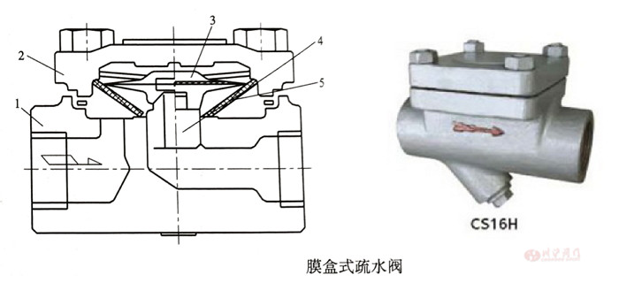热静力型蒸汽疏水阀